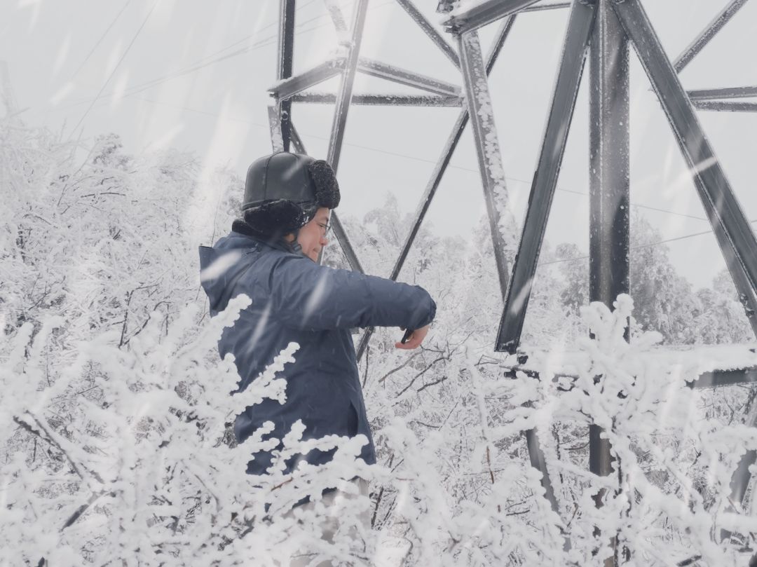 1702972253881031222.jpg 961cc381-1e1d-4a82-8088-0703bd961a77.jpg